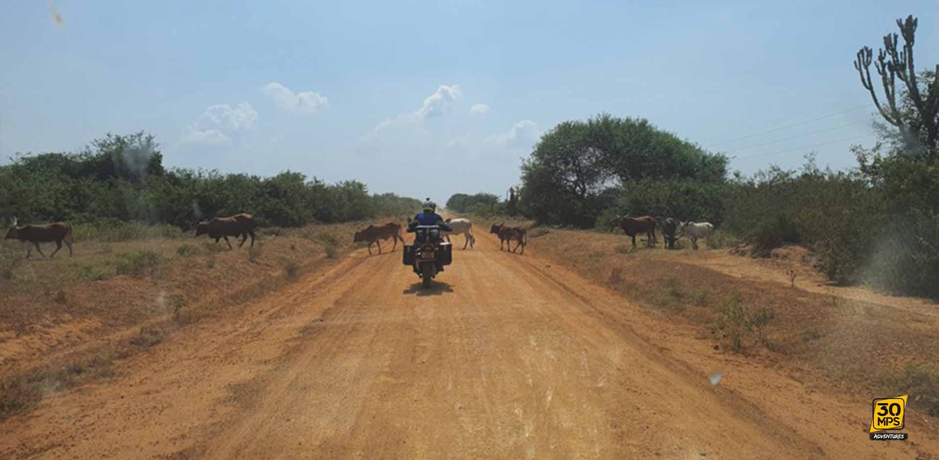 animales-viaje-aventura-moto-uganda-30mps